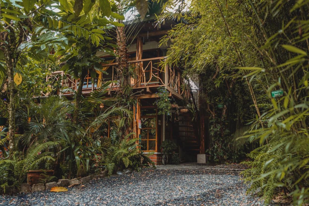 Hostal Las Palmas Puyo Zewnętrze zdjęcie